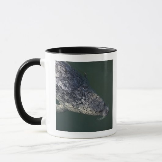 Siegelschwimmen unter dem Wasser 2 Tasse (Links)
