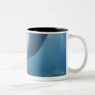 Siegelschwimmen unter dem Wasser Zweifarbige Tasse