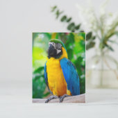 Sieh mich an postkarte (Stehend Vorderseite)