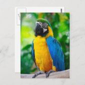 Sieh mich an postkarte (Vorne/Hinten)