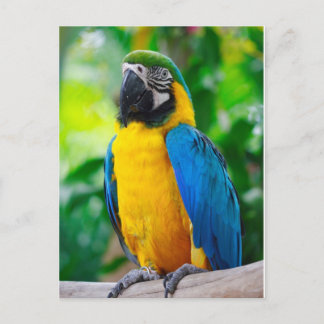 Sieh mich an postkarte