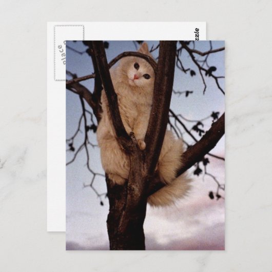 Sieh mich an! postkarte (Vorne/Hinten)