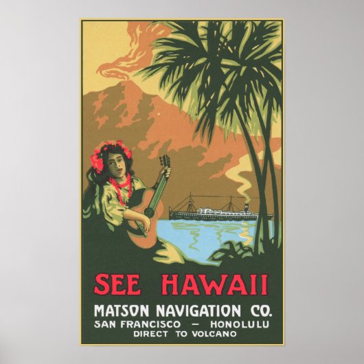 Siehe Hawaii Poster (Vorne)