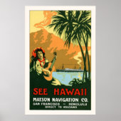 Siehe Hawaii Travel Poster (Vorne)
