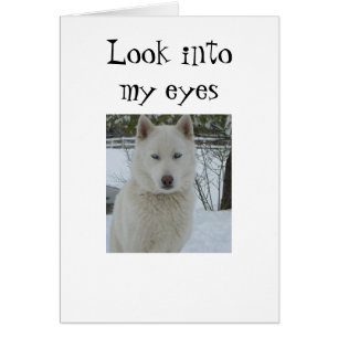 "SIEHE IN MEINE AUGEN UND HERZEN"