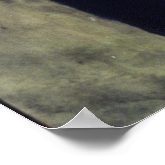 "SIEHE KEINE BEWERTUNG" POSTER (Ecke)