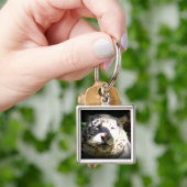 Siehe Me White Tiger Schlüsselanhänger (Hand)