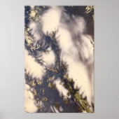 Siehe oben auf der Baumspitze Poster (Vorne)