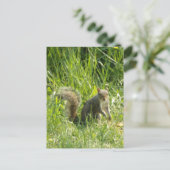 Siehe You Eichhörnchen Postkarte (Stehend Vorderseite)