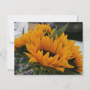 Sieht aus wie eine Sonnenblume