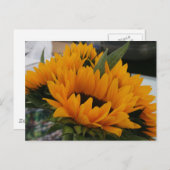 Sieht aus wie eine Sonnenblume Postkarte (Vorne/Hinten)