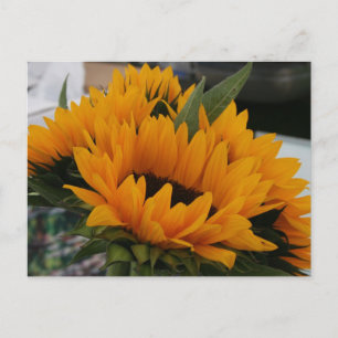 Sieht aus wie eine Sonnenblume Postkarte