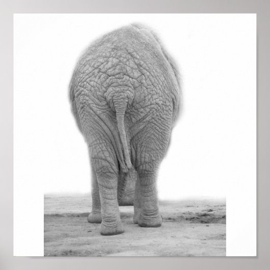 Sieht mein Bauch groß aus Poster (Vorne)