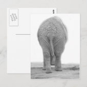Sieht mein Bauch groß aus Postkarte (Vorne/Hinten)