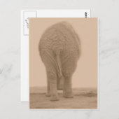 Sieht mein Kaugummi groß aus Postkarte (Vorne/Hinten)