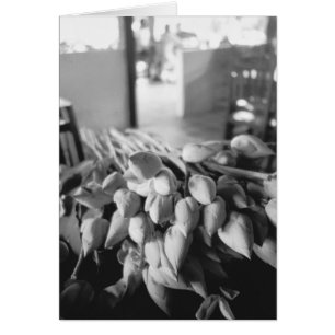 Siem Reap Cambodia, Lotus Blume