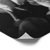 Siem Reap Cambodia, Lotus Blume Poster (Ecke)