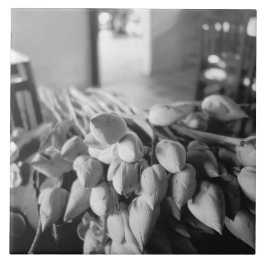 Siem Reap Kambodscha, Lotus Blume Fliese (Vorderseite)