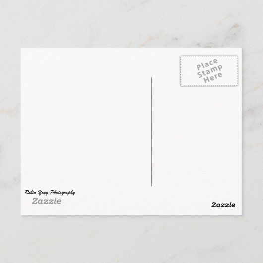 Siem Reap, Kambodscha Postkarte (Rückseite)