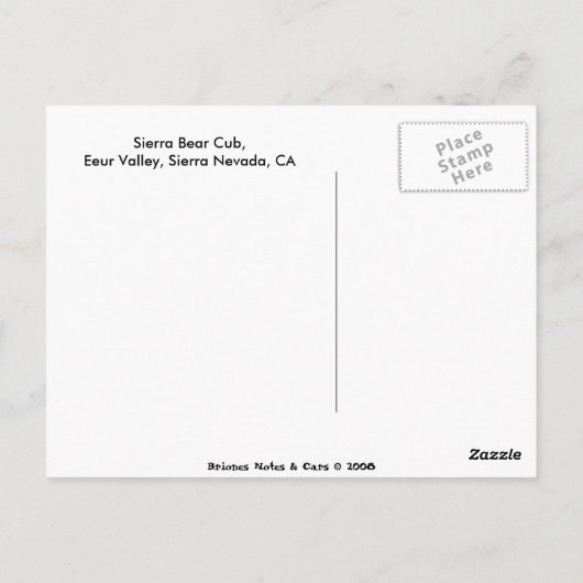 Sierra Bear Cub Postkarte (Rückseite)