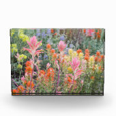 Sierra Buttermilch-Wildblumen Fotoblock (Vorderseite)