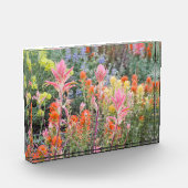 Sierra Buttermilch-Wildblumen Fotoblock (Links)