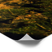 Sierra del Carmen Octillo Poster (Ecke)