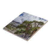 Sierra Juniper und Evergreen Bäume Fliese (Seite)