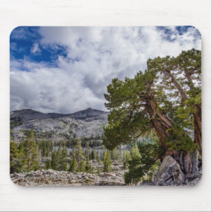 Sierra Juniper und Evergreen Bäume Mousepad