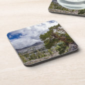 Sierra Juniper und Evergreen Bäume Untersetzer (Linke Seite)