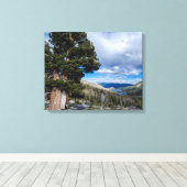 Sierra Juniper und Evergreen Trees 2 Leinwanddruck (Insitu (Holzboden))