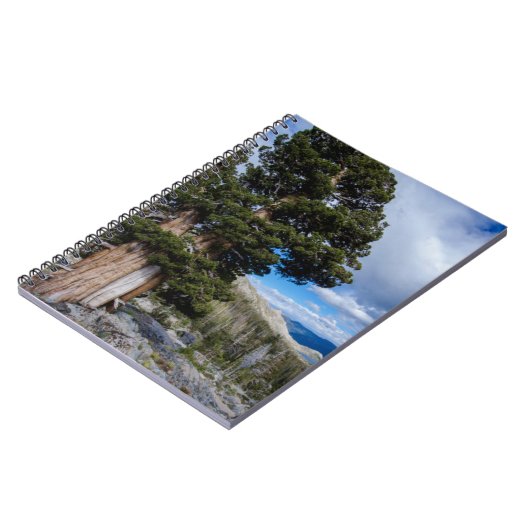Sierra Juniper und Evergreen Trees 2 Notizblock (Linke Seite)