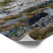 Sierra Juniper und Evergreen Trees 2 Poster (Ecke)