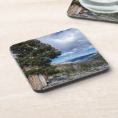Sierra Juniper und Evergreen Trees 2 Untersetzer (Linke Seite)