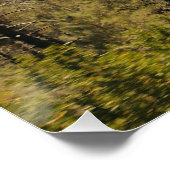 Sierra Mountain Valley Poster (Ecke)