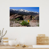 Sierra Mountain View Poster (Küche)