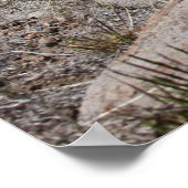 Sierra Mountain View Poster (Ecke)