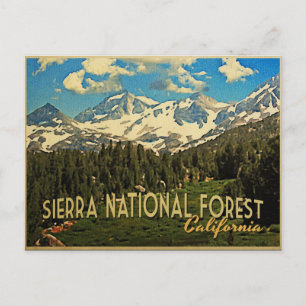 Sierra National Forest Kalifornien Postkarte