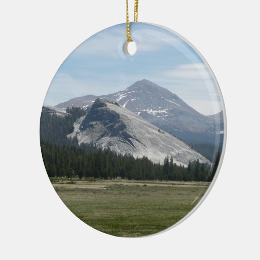 Sierra Nevada Berge III Yosemite Nationalpark Keramikornament (Links)
