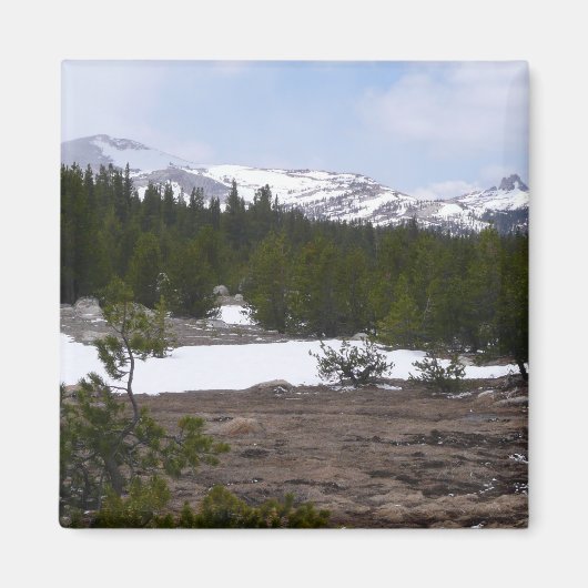 Sierra Nevada Berge und Schnee auf Yosemite Magnet (Vorne)
