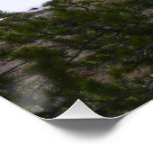 Sierra Nevada Berge und Schnee auf Yosemite Poster (Ecke)