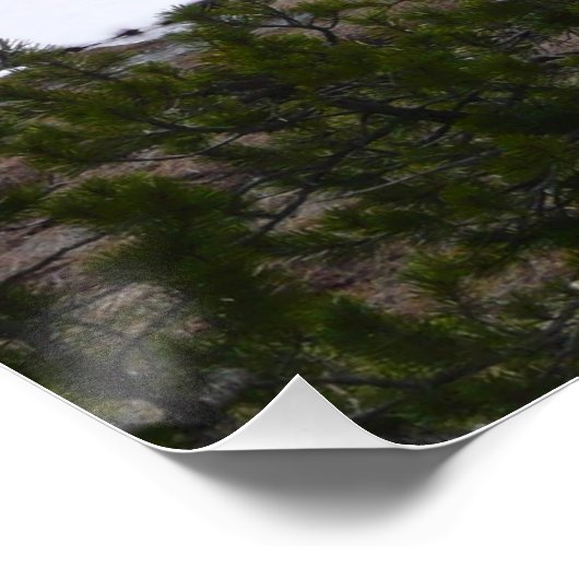 Sierra Nevada Berge und Schnee auf Yosemite Poster (Ecke)