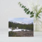 Sierra Nevada Berge und Schnee auf Yosemite Postkarte (Stehend Vorderseite)