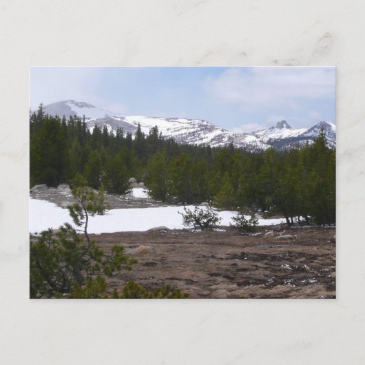 Sierra Nevada Berge und Schnee auf Yosemite Postkarte (Vorderseite)