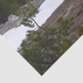 Sierra Nevada Berge und Schnee auf Yosemite Seidenpapier (Detail)