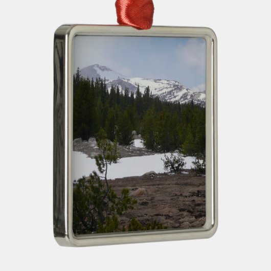 Sierra Nevada Berge und Schnee auf Yosemite Silbernes Ornament (Rechts)