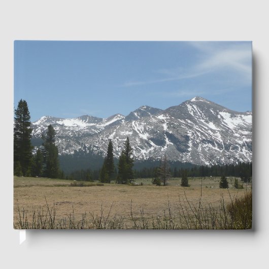 Sierra Nevada Gebirge I aus Yosemite Gästebuch (Vorderseite)