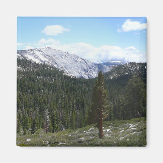 Sierra Nevada Gebirge II aus Yosemite Magnet (Vorne)