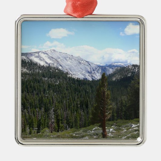 Sierra Nevada Gebirge II aus Yosemite Ornament Aus Metall (Vorne)