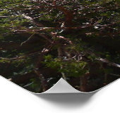 Sierra Nevada Gebirge II aus Yosemite Poster (Ecke)